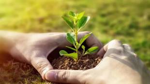 Harit Maharashtra Mission tree plantation | Gadchiroli forest conservation | Maharashtra afforestation target 2047 | Praveen Pardeshi MITRA CEO environment project