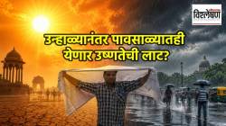 Heatwave in India : उन्हाळ्यानंतर पावसाळ्यातही येणार उष्णतेची लाट? भारताने कशासाठी तयार राहावे? तज्ज्ञांचा इशारा काय?