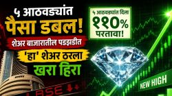 HFCL Share Price: मुंबई शेअर बाजार कोसळत असताना ‘हा’ शेअर सुसाट! ५ आठवड्यांत दिला ११० टक्के परतावा; गाठली नवी उच्चांकी पातळी