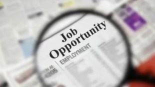 Bank Apprentice Jobs 2026: SBI, BOB Recruitment for 12150 Posts