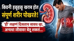 किडनी हळूहळू खराब होत संपूर्ण शरीर पोखरते; ‘ही’ लक्षणं दिसताच सावध व्हा, अन्यथा जीवावर बेतेल…