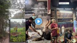 कौलारू घर, कोकणी मेवा अन् दर गुरुवारी…; मुग्धा वैशंपायनने दाखवली सासरच्या घराची झलक! म्हणाली, “मोठं भाग्य…”