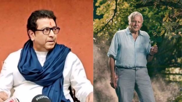Raj Thackeray Facebook Post on David Attenborough | David Attenborough 100th Birthday News Marathi | राज ठाकरे यांची डेव्हिड अटेनबरो यांच्यासाठी पोस्ट | सर डेव्हिड अटेनबरो १०० वा वाढदिवस