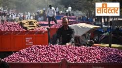 Onion Price Crisis Maharashtra: सविस्तर : कांदा रडवतोच… मग पिकवा कशाला?