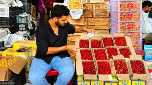 Fresh red Kashmir cherry boxes arrived at Pune Market Yard | Flight transportation of cherries causing price hike in wholesale market | पुणे मार्केट यार्डात काश्मीरमधून आलेली ताजी चेरी | हवामान बदलामुळे चेरी उत्पादनात घट आणि दरवाढ