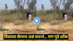 Leopard suddenly attacks forest officer after pretending to be unconscious in viral wildlife video