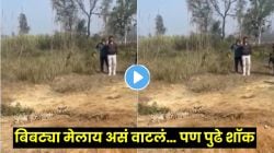 ‘बिबट्या मेलाय’ असं समजून लोक गेले जवळ; पण पुढच्याच क्षणी काय घडलं पाहा… VIDEO पाहून बसेल धक्का!
