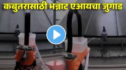 कबुतराने खिडकीत घाण करण्याऐवजी थेट मारला यु टर्न! तरुणाचा AI ‘जुगाड’ ठरला चर्चेचा विषय; VIDEO होतोय व्हायरल