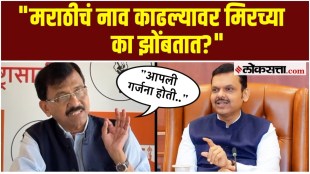 Sanjay Raut say on Chief Minister Devendra Fadnavis statement