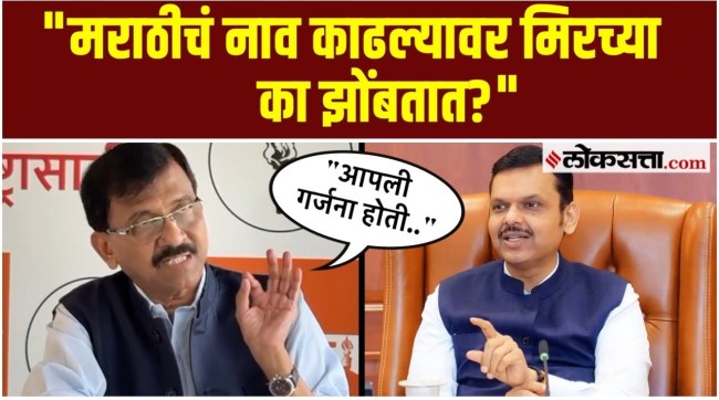 Sanjay Raut say on Chief Minister Devendra Fadnavis statement