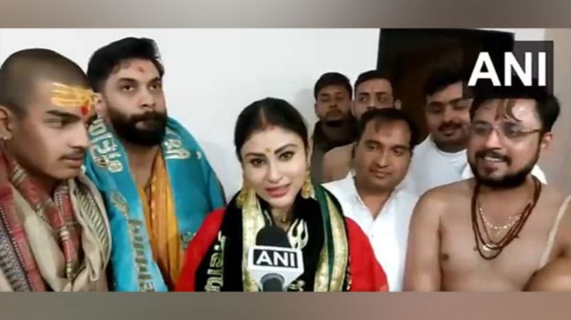 Mouni Roy and Suraj Nambiar Business Details