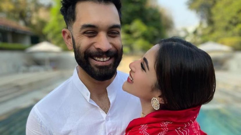 Mouni Roy and Suraj Nambiar Business Details