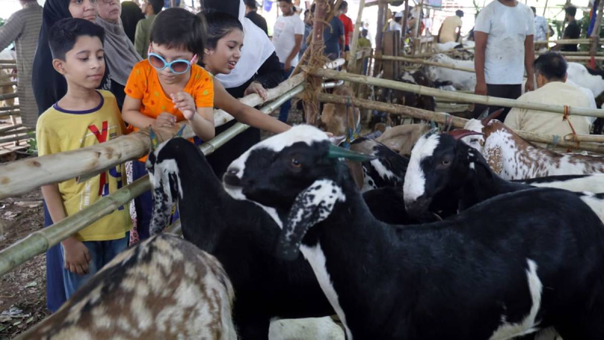 Bakra Eid 2026: Deonar Slaughterhouse Ready | देवनार पशुवधगृह सज्ज