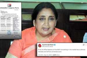 Sunetra Pawar speaking on NCP national executive list | Praful Patel Sunil Tatkare Chhagan Bhujbal NCP news | राष्ट्रवादी काँग्रेस राष्ट्रीय कार्यकारिणी सुनेत्रा पवार | प्रफुल्ल पटेल सुनील तटकरे छगन भुजबळ राष्ट्रवादी बातमी