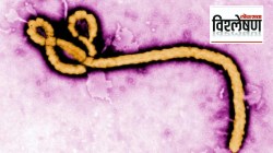 Ebola virus update : माणूस मरतो पण व्हायरस राहातो, इबोला व्हायरस जगभर पसरण्याची शक्यता किती?