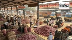 विश्लेषण: केंद्रीय कृषीमंत्र्यांच्या आश्वासनानंतरही कांदा उत्पादकांचा रोष का ? 