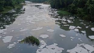 pavana river pollution pimpri chinchwad | animal waste in river punawale | pcmc police complaint river safety | water quality concerns maharashtra news