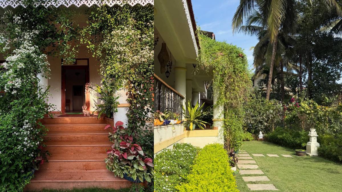 ravi jadhav beautiful farmhouse at alibaug farming these fruits and veggies