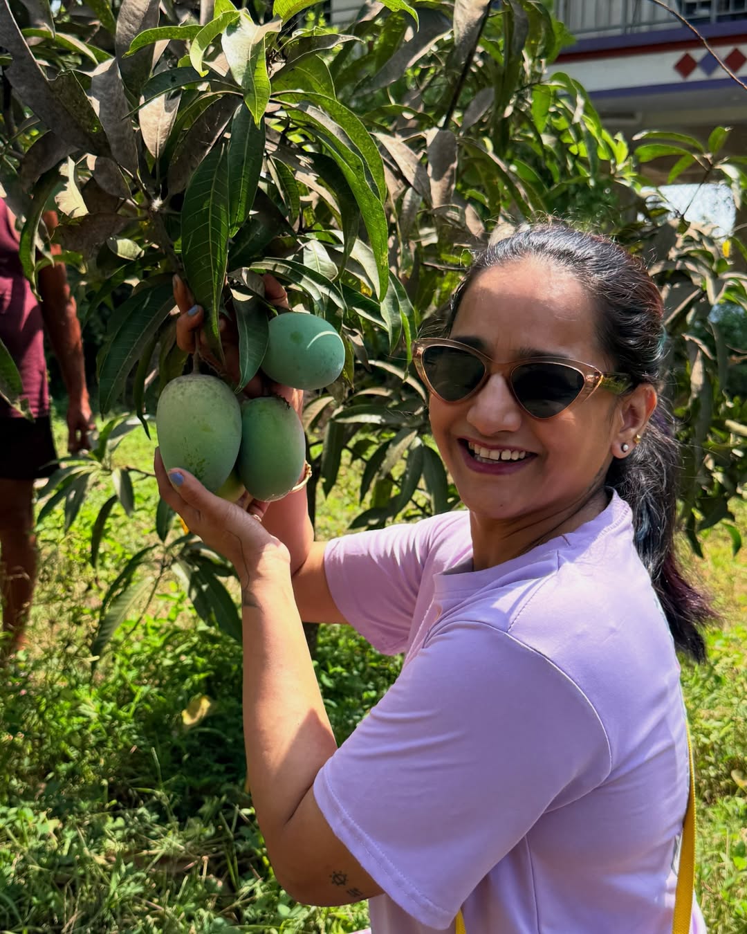 ravi jadhav beautiful farmhouse at alibaug farming these fruits and veggies