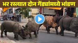 भर रस्त्यात दोन गेंड्यांमध्ये भांडण; लोकांनी घाबरून दुकान केली बंद; VIDEO च्या शेवटी कोण जिंकलं बघाच…