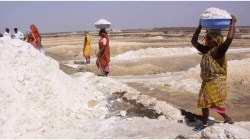 केंद्र सरकारला उच्च न्यायालयाचा तडाखा; मीरा-भाईंदरमधील मिठागरांच्या जमिनींवरील मालकी हक्क नाकारला