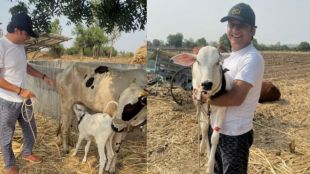 Marathi actor Sankarshan Karhade holding a newborn calf named Gauri at his farm in Parbhani.