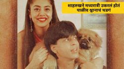 Video : शाहरुख खानने मध्यरात्री उकरलं होतं पाळीव श्वानाचं थडगं, गौरी खानच्या मामाने सांगितला ‘तो’ भावुक क्षण; म्हणाले…