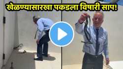 साप आहे की खेळणं! सरपटत पळणाऱ्या सापांना पकडण्याची जीवघेणी पद्धत; VIDEO पाहून भरेल धडकी