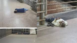 Drug addicts sleeping at Thakurli railway station platform | Drunkards nuisance on Thakurli skywalk Mumbai | Commuters safety concerns Central Railway | RPF patrolling demand at Thakurli station
