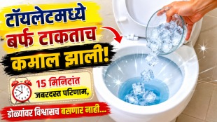 how to clean toilet home remedy ice cubes toilet cleaning trick toilet smell tips at home easily clean toilet