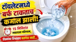 टॉयलेटमध्ये बर्फ टाकताच कमाल झाली! १५ मिनिटांत जबरदस्त परिणाम, डोळ्यांवर विश्वासच बसणार नाही…