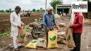 india-kharif-season-chemical-fertilizer-shortage-crisis-import-price-analysis