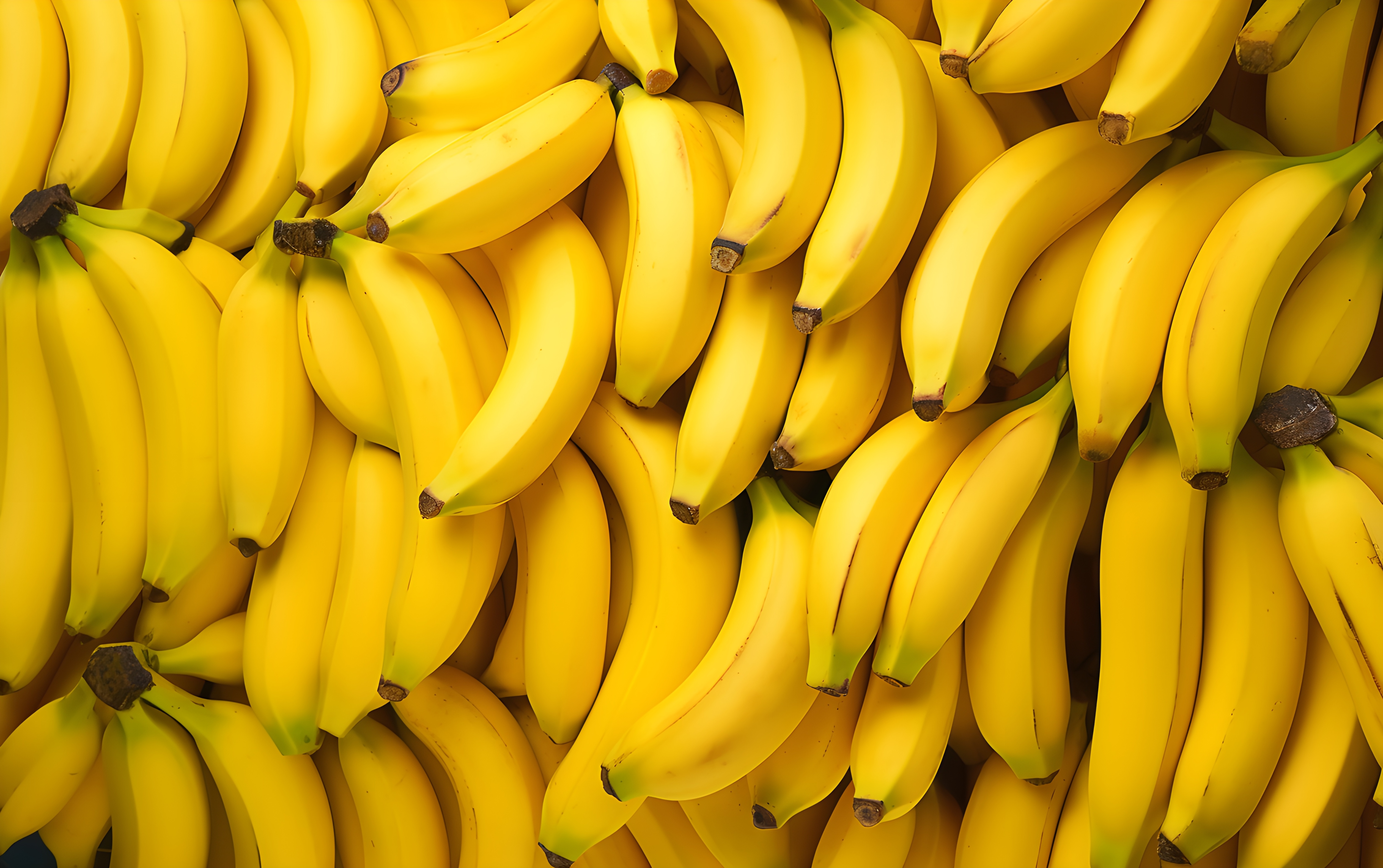 Apple vs Banana nutrition facts which is Best fruit