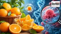 कॅन्सरचा धोका कमी करण्यात ‘Vitamin C’ ठरतंय प्रभावी? नवीन संशोधन काय सांगतं?