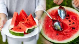 Madhya Pradesh Watermelon Death Case investigation | Food Poisoning After Eating Watermelon safety alert | मध्य प्रदेश टरबूज खाल्ल्याने मृत्यू विषबाधा | फूड पॉयझनिंगमुळे मध्य प्रदेशात वडिलांचा मृत्यू मुलगा गंभीर