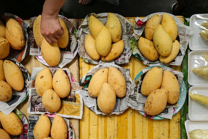 Japan banned Indian mangoes reason