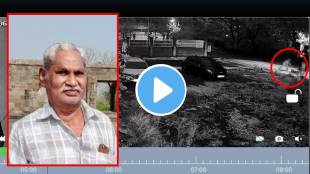 amravati wild boar attack news | govind pinjarkar amravati death | amravati morning walk wild animal attack | wild boar attack cctv video maharashtra