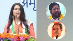 ‘ऑपरेशन टायगर’बाबत प्रश्न विचारताच अमृता फडणवीस यांचं एका वाक्यात उत्तर “हा विषय..”