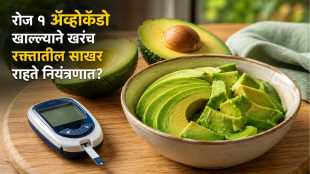 Avocado Benefits Blood Sugar Control Diabetes Diet