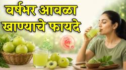 वर्षभर रिकाम्या पोटी ‘या’ हिरव्या फळाचं पाणी प्या; शरीरातील सगळ्यात महत्वाचे अवयव राहतील ठणठणीत; वाचा तज्ज्ञ काय म्हणतात