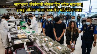 bangkok-free-trip-hydroponic-weed-smuggling-racket-mumbai-airport