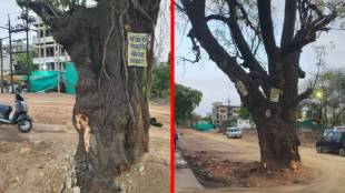 Bhandara NH 53 tree cutting protest | Maharashtra environmental movement success | Collector Savant Kumar Bhandara highway decision | Save trees protest Bhandara Maharashtra
