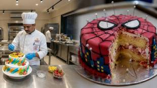 Thane boy swallows birthday cake metal pins | FSSAI guidelines for bakery and cake packaging | Thane Hiranandani cake safety issue | Food Safety and Standards Authority of India order Maharashtra