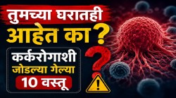 रोज वापरल्या जाणाऱ्या ‘या’ १० वस्तूंमुळे वाढू शकतो कॅन्सरचा धोका; तुमच्या घरातही आहेत का? तज्ज्ञांची ही यादी एकदा पाहाच!