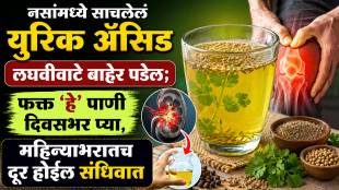 Uric acid control tips saunf elaichi pudina water expert advice