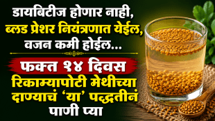 fenugreek seeds methidana benefits for weight loss and blood sugar control