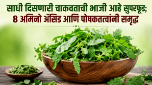 Must-eat Chakavat in winter This green vegetable offers benefits from digestion to heart health