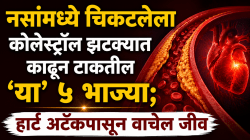 नसांमध्ये चिकटलेला कोलेस्ट्रॉल झटक्यात काढून टाकतील ‘या’ ५ भाज्या; हार्ट अटॅकपासून स्ट्रोकपर्यंत धोका टळेल