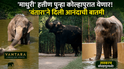 ‘वंतारा’कडून मोठी गुड न्यूज! लाडकी ‘माधुरी’ हत्तीण पुन्हा कोल्हापुरात येणार, पाहा Video