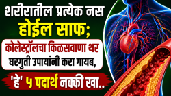 शरीरातील प्रत्येक नस होईल साफ; कोलेस्ट्रॉलचा किळसवाणा थर घरगुती उपायांनी करा गायब, ‘हे’ ५ पदार्थ नक्की खा